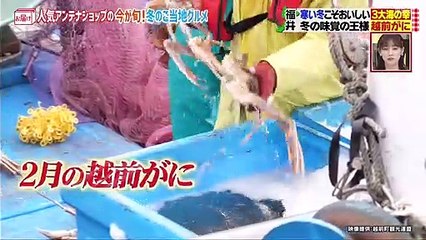 Youtubeバラエティ動画格納庫 更新 - 所さんお届けモノです！  動画 9tsu   2021年1月31日