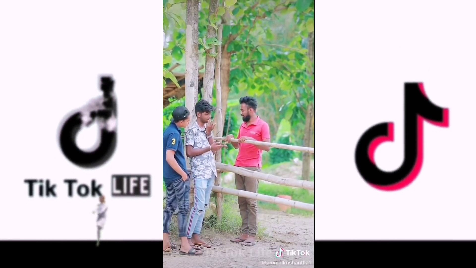 ⁣VÍDEOS VIRALES Viral TikTok collection - 8 - @TikTok Life