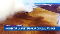 600 Hektar Lahan Terbakar Besar di Pulau Paskah Chile