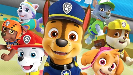 PAW Patrol: On a Roll Full Gameplay 100% Walkthrough (PS4)