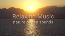 Relaxing Music Nature and Ocean sounds for Stress Relief for meditation, yoga, relaxing, deep sleep.