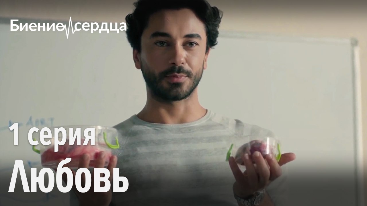 Любовь начинается в мозге, живет в сердце - Бие...