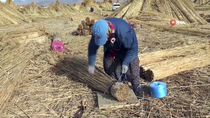 Sultan Sazlığı’nda Yetişen Kamışlar Yurt İçinde Yüzde 35’lik İhtiyacı Karşılıyor