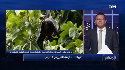 رأي عام | هل يهدد "نيباه" العالم؟.. كل ما تريد معرفته عن الفيروس المرعب 