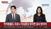 반려동물도 코로나 의심증상 보이면 검사 받아야