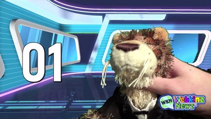 The Webkinz Show - Lucky Block