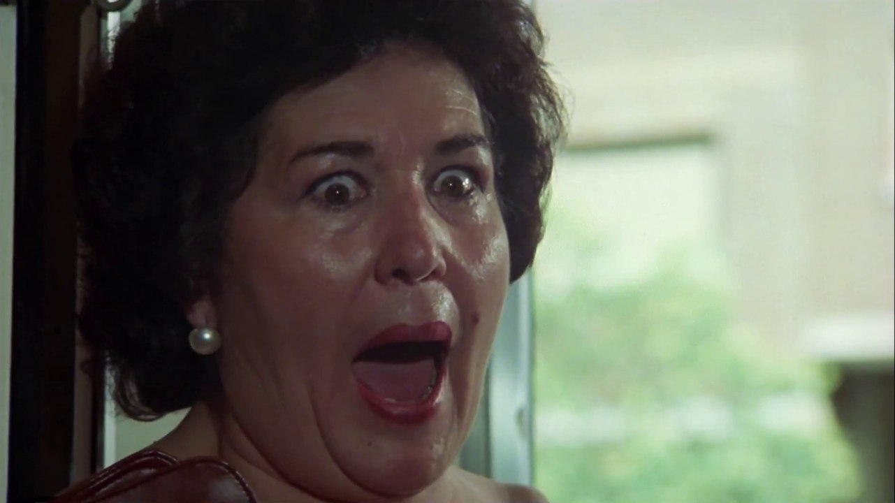 Colegas Película  (1982)