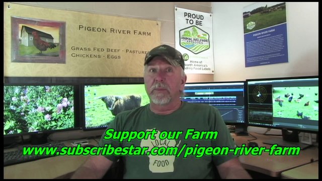 Starting A Small Homestead Farm part 2 Livestock