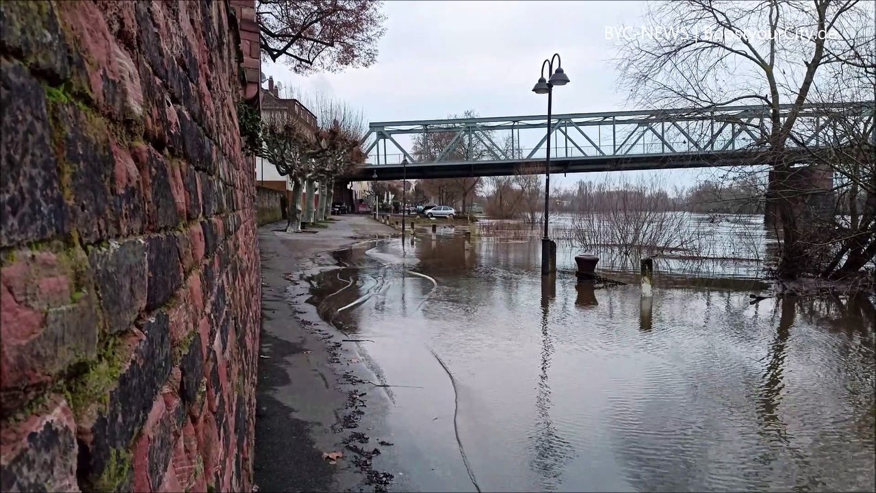 Hochwasser Pegelstand am Rhein in Kostheim und Ginsheim