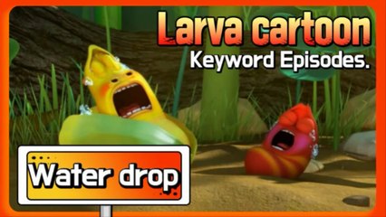 KEYWORD CARTOON | Water drop | Larva Official Channel | Best animation