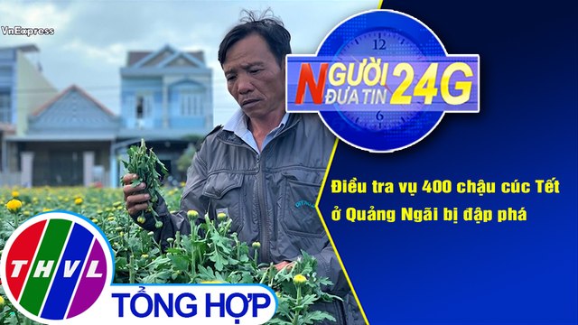 Người đưa tin 24G (6g30 ngày 1/2/2021) - Điều tra vụ 400 chậu cúc Tết ở Quảng Ngãi bị đập phá