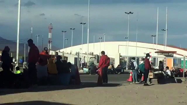 700 INmigrantes ILEGALES ingresaron a Colchane este domingo (31-01-2021)