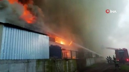 Kocaeli'de 3 bin 500 metrekarelik tavuk çiftliğinde yangın