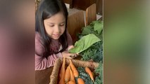 MS Dhoni Daughter Ziva Dhoni ने लगाई सब्जी की दुकान, CUTE VIDEO VIRAL | Boldsky