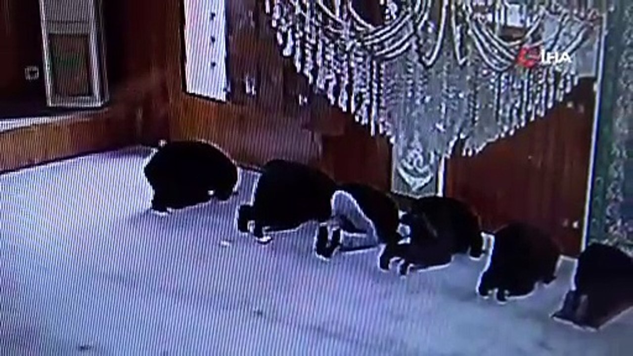Camide ''namaz kılar gibi yapan'' hırsızın hırsızlık anı kamerada!