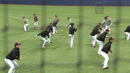 사상 첫 전 구단 국내 전훈...SK는 제주, 키움은 안방 / YTN