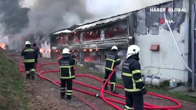 56 bin civcivin bulunduğu çiftlikte yangın! Dakikalarca uğraştı ama binlercesi telef oldu