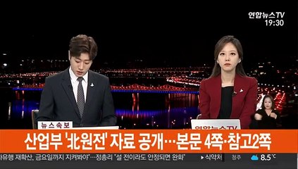 [속보] 산업부 '北원전' 자료 공개…본문 4쪽·참고 2쪽