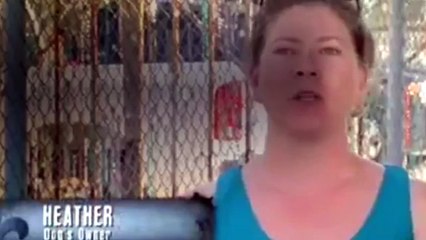 Pit Bulls And Parolees - S 05 E 13