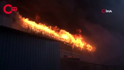 56 BİN CİVCİVİN BULUNDUĞU TAVUK ÇİFTLİĞİ YANDI