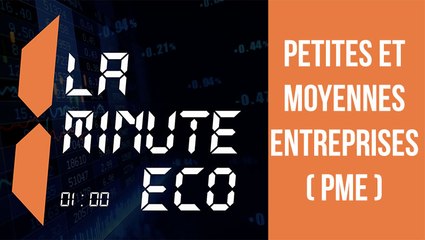 La Minute éco: Petites et Moyennes Entreprises (PME)