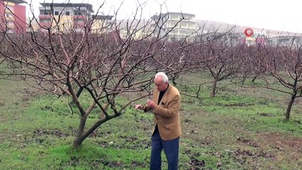 Siirt’te Beklenen Yağışların Gelmesi Çiftçilerin Yüzünü Güldürdü
