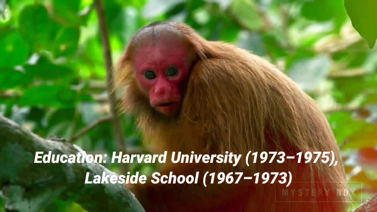 Bill Gates story- Best powerful motivational video in hindi - mann ki aawaz motivation