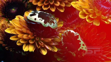 Life style change Emotional Motivational Story speech