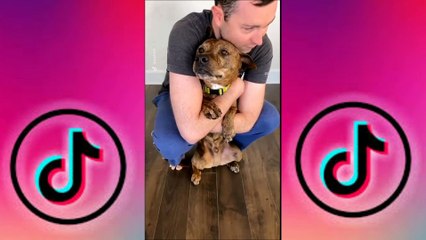 retos tik tok.