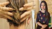 Mohena Singh का Multani Mitti Pack for Long Hair | मुलायम बालों के लिए वरदान है मुल्तानी मिट्टी