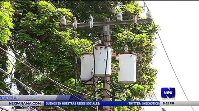 Diputada Zulay Rodríguez exige ampliar moratoria - Nex Noticias