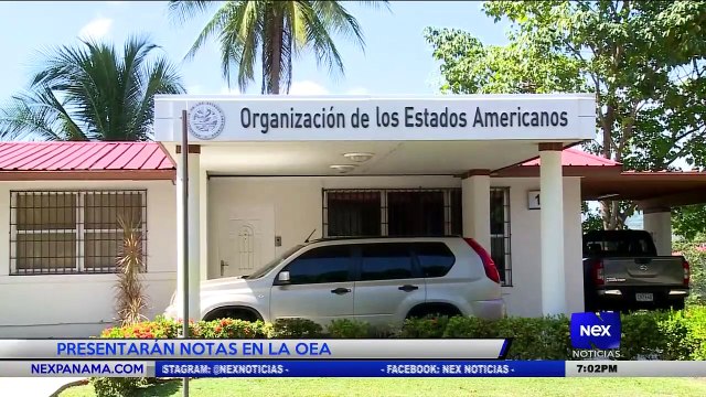 Presentarán notas en la OEA - Nex Noticias