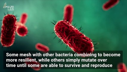 Bacteria Can Change Shape to Survive Antibiotics