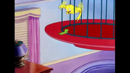 Tom & Jerry _  B-b-b-birds! _ Classic Cartoon Compilation _ WB Kids