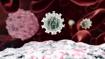 Things You Should Know About The New Covid-19 Variants