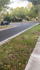 Scooter Sends Rider Rolling