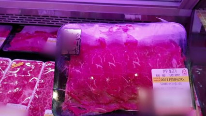 호주산 소고기를 한우로 둔갑해 판 업체들 적발 / YTN