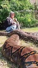 Allah Pak ki Makhloq: Khobsurat Tilawat k sath sunyen