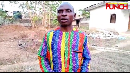 Herdsmen: How Our Multi-Million Naira Maize Farm Was Destroyed