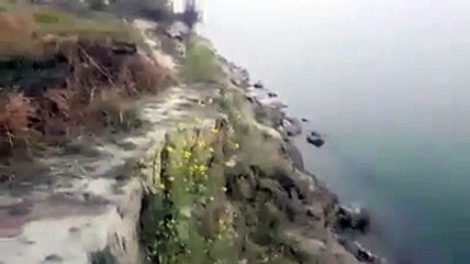 The terrible breakdown of the Padma river  বাহাদুর এলাকাবাসী পদ্মা ভাঙ্গনের পড়েছে