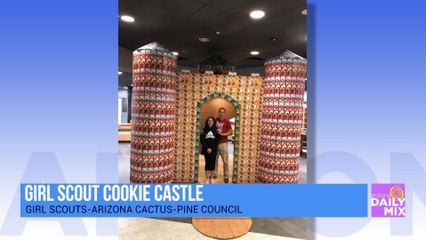 Come See a Girl Scout Cookie Castle!