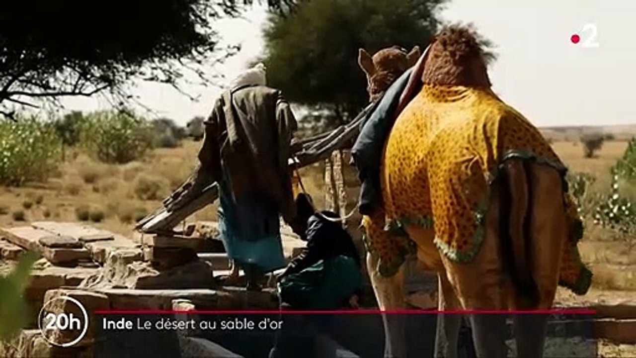 Inde : dans le désert du Thar, l’eau vaut de l’or