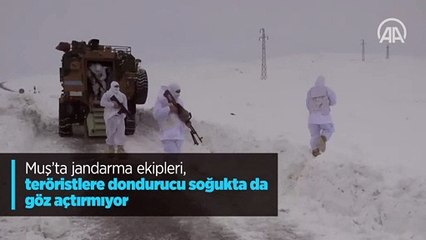 Muş'ta jandarma ekipleri, teröristlere dondurucu soğukta da göz açtırmıyor