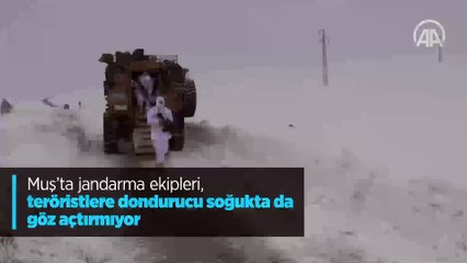 Muş'ta jandarma ekipleri, teröristlere dondurucu soğukta da göz açtırmıyor