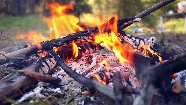 #campfireforstressrelief-❤️#campfire with very #relaxing #piano#forest birds singing #relaxation-#soothing-music #stress#Relaxing Music #Stress #Relief #Insomnia #Meditation