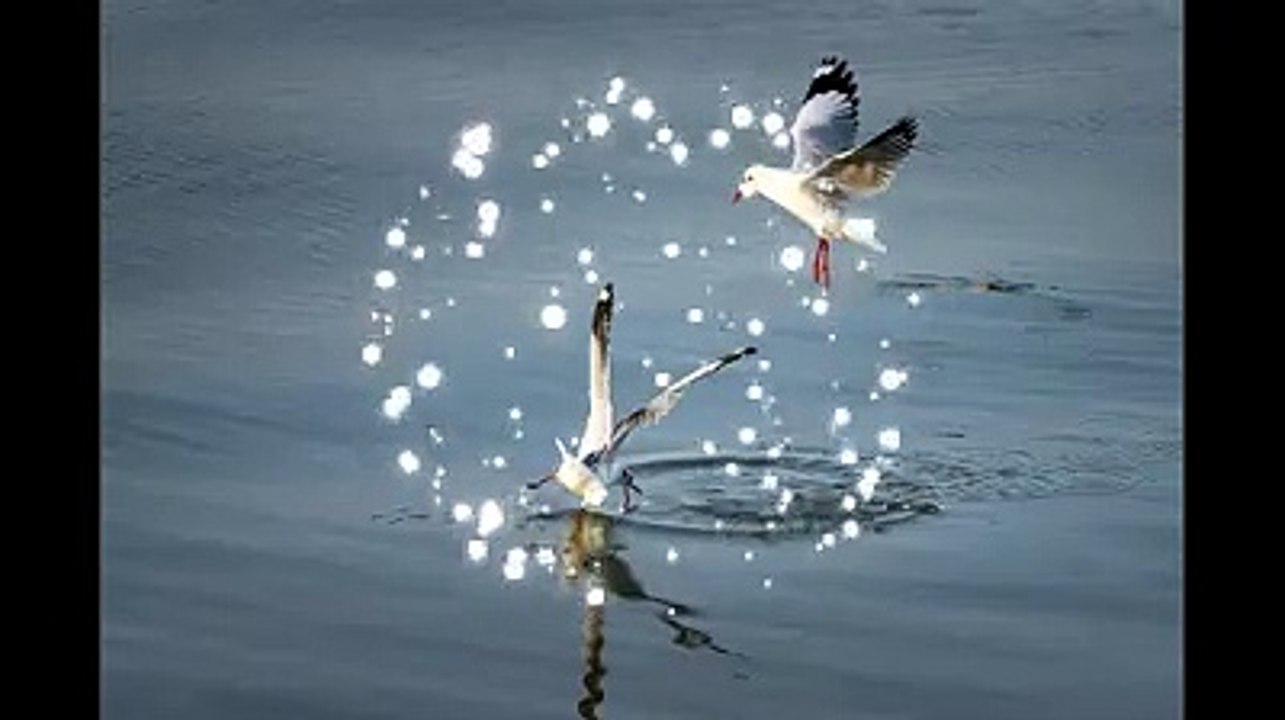#SpiritualMeditationHealing #RelaxingMusic Gentle#BirdsSounds#forest birds singing#relaxation-#soothing-music #stress#Relaxing Music #Stress #Relief #Insomnia #Meditation