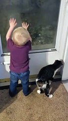 Kiddo and Cat Grab at Glass