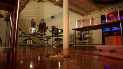 MacGyver 5x07 - Clip from Episode 7 season 5 - Golden Lancehead