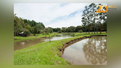 Misiones: busca crecer la producción de pescados y así aumentar el consumo