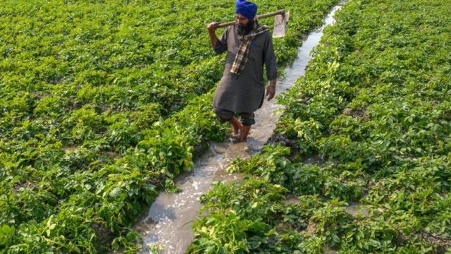 Union Budget 2021: Here's what farmers got